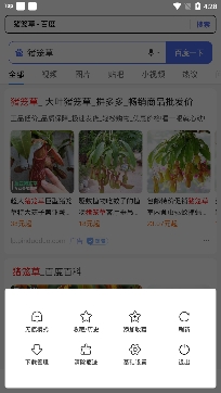 快看浏览器app极速版