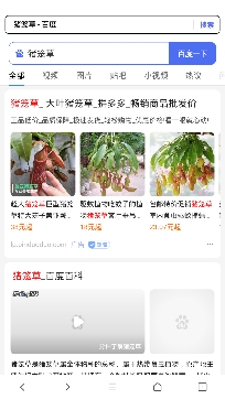 快看浏览器app极速版