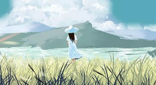 念信最新版 念信最新版