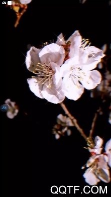 情迈婚恋交友app最新版