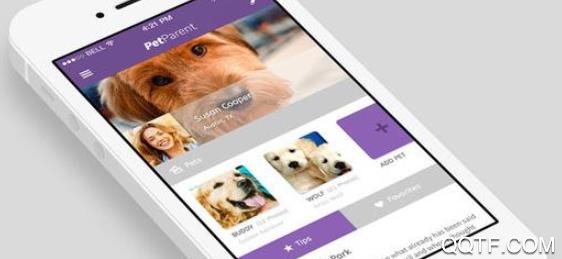 慧小宠管理端官方版 慧小宠管理端官方版
