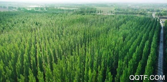 慧找苗app安卓版 慧找苗app安卓版