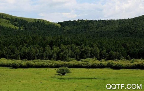 慧找苗app安卓版 慧找苗app安卓版