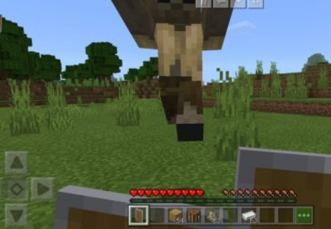 我的世界苹果版