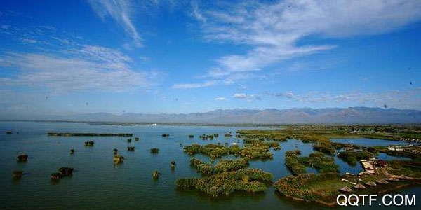 我的宁夏ios客户端