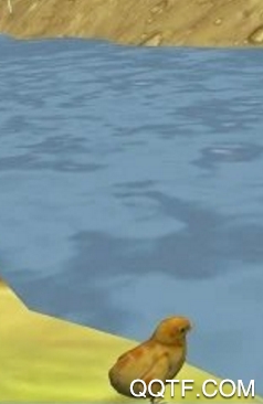 我的鸡模拟器手游最新版