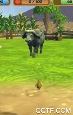 我的鸡模拟器手游最新版