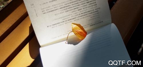 扎堆阅读器手机版 扎堆阅读器手机版