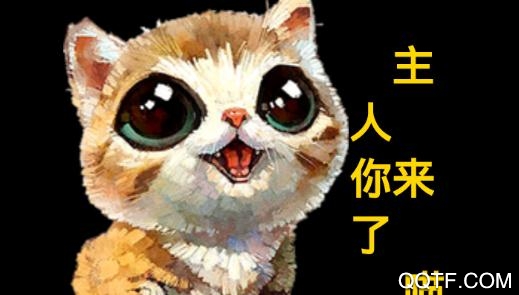 投喂交友app安卓版