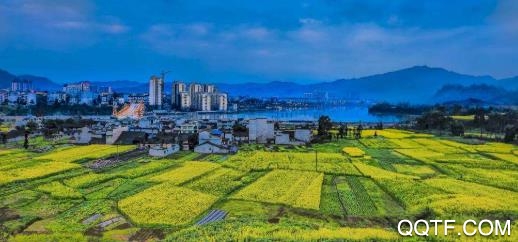 指尖天全app安卓版