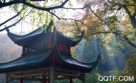 指尖岳麓app苹果版