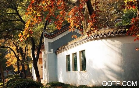 指尖岳麓app苹果版