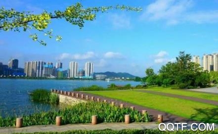 指尖岳麓app苹果版