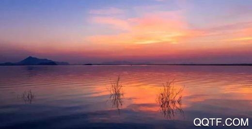 掌上柴桑苹果系统