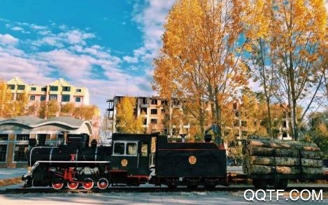 掌上桦南app安卓版