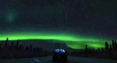 掌上温尼伯app官方版