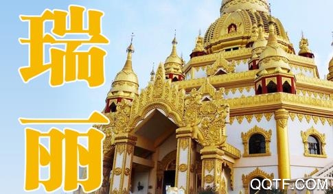 掌上瑞丽App手机版