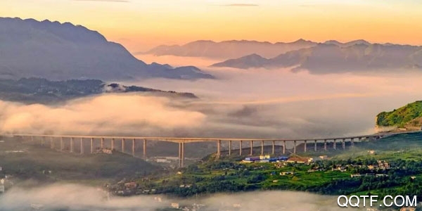 掌心镇雄官方版