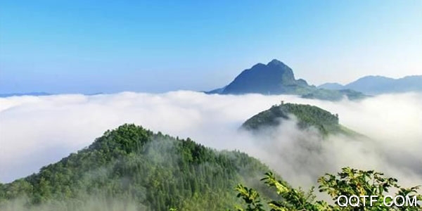 掌心镇雄官方版