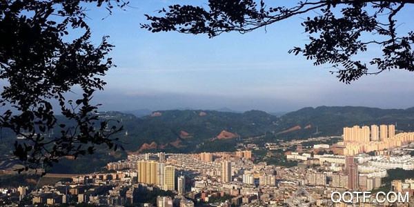 掌心镇雄官方版