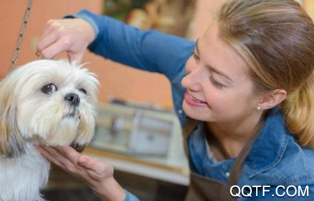 探爪(宠物社区)app安卓版 探爪(宠物社区)app安卓版