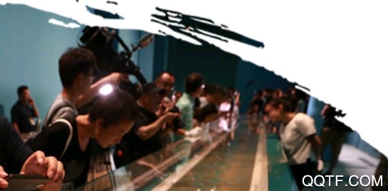 文旅重庆安卓版