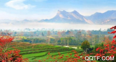 文明昌江app最新版