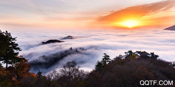 新崆峒安卓客户端 新崆峒安卓客户端