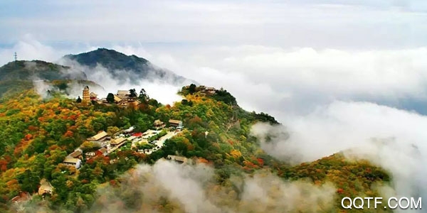 新崆峒安卓客户端 新崆峒安卓客户端