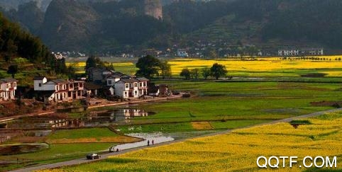 新新宁手机客户端