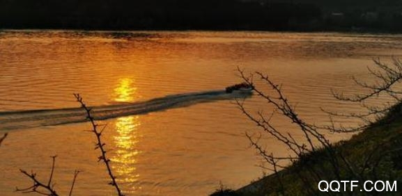 无线阆中融媒体app最新版