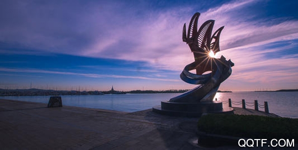 日照政通app手机版