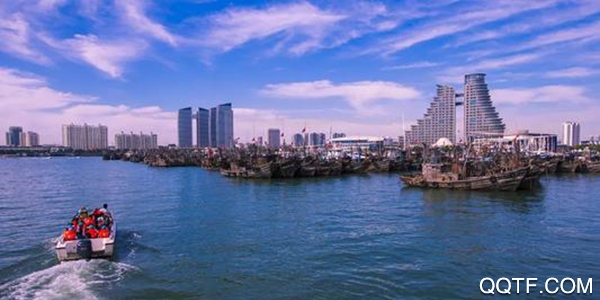 日照政通app手机版