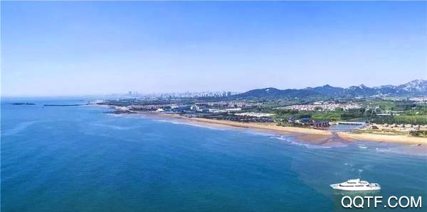 日照政通app手机版