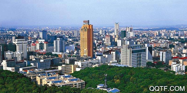 智慧岳阳官方版