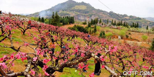 智慧连平客户端 智慧连平客户端
