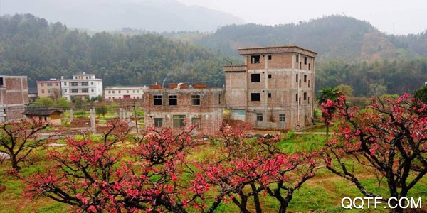 智慧连平客户端 智慧连平客户端