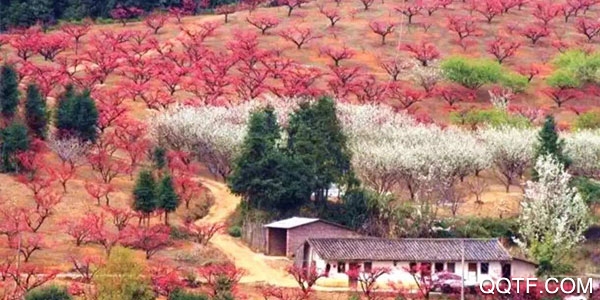 智慧连平客户端 智慧连平客户端