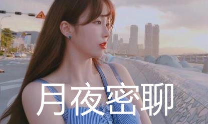 月夜密聊app最新版 月夜密聊app最新版