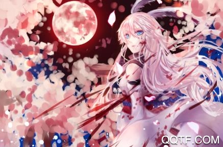 有读app纯净版
