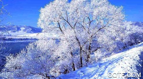 林口融媒app安卓版