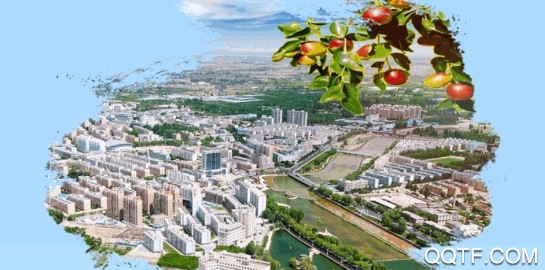 枣乡临泽手机客户端