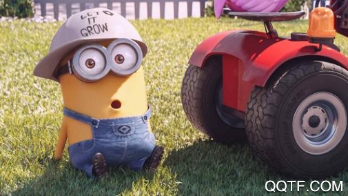 柠柚壁纸app苹果版 柠柚壁纸app苹果版