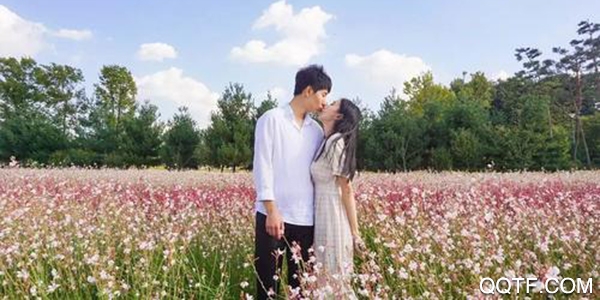 椰果派对app免费版