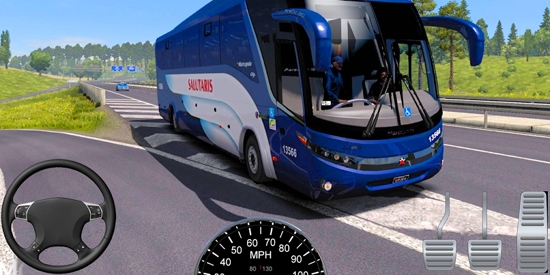 欧洲巴士模拟器最新版(Bus Simulator)