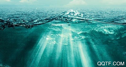 正则生成器app手机版