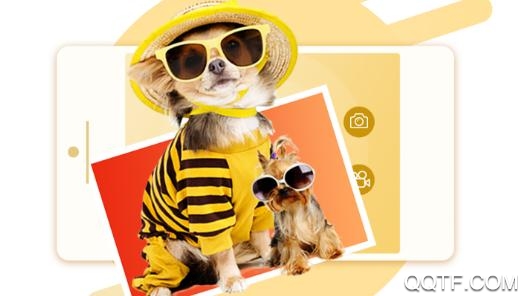 毛宠团app宠物分享最新版