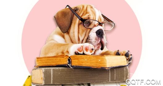 毛宠团app宠物分享最新版