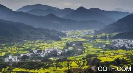 江西智通服务app官方版