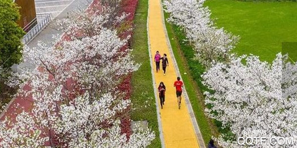 江西视频手机报客户端